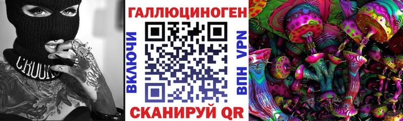 mega как войти цена наркотик Уржум Псилоцибиновые грибы Psilocybe